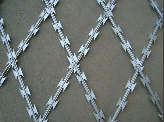품질  75mmx150mm Welded Razor Wire Mesh Rot Proof Function 공장